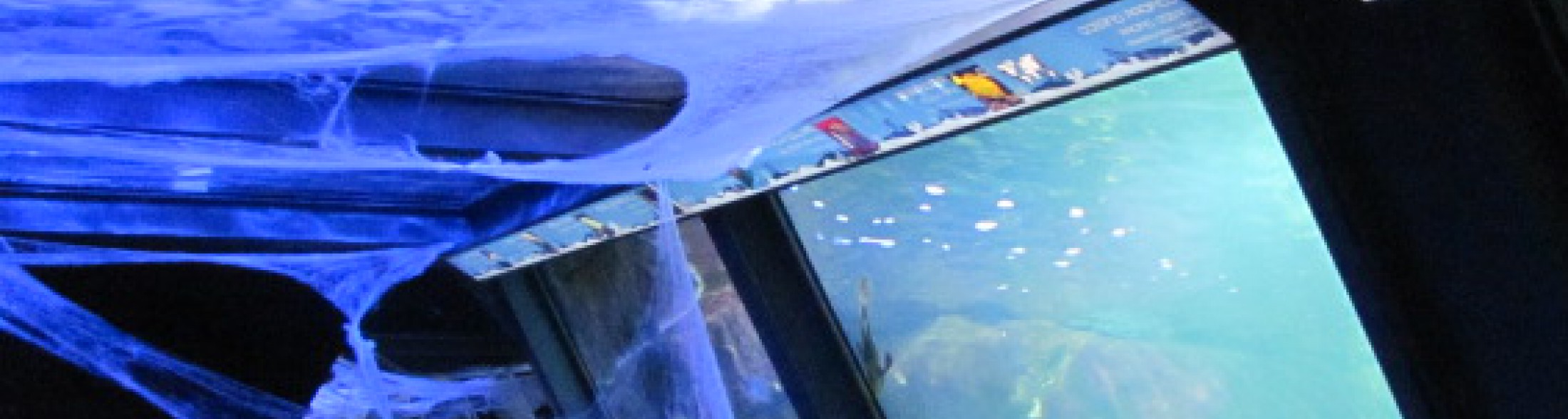 Un Acquario da brivido per Halloween