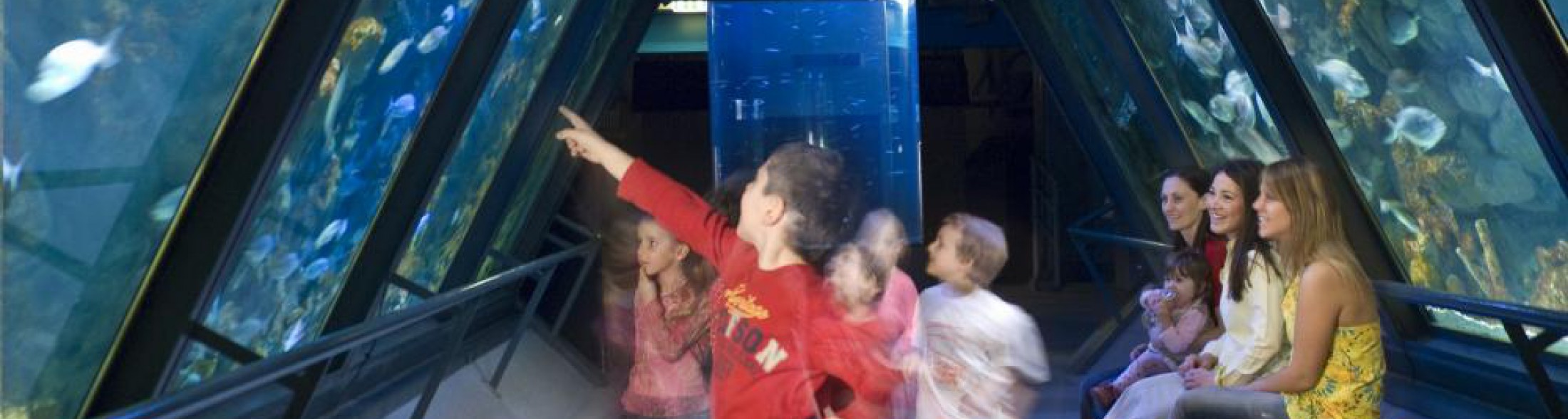 Mille insegnanti tornano "a scuola"  nei Parchi Costa