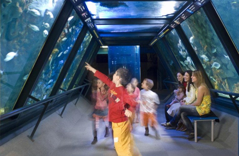 Mille insegnanti tornano "a scuola"  nei Parchi Costa