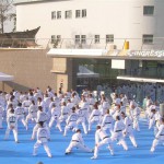 Al via la  settima edizione della Festa dello Sport