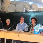 Si è acceso il Natale all' Acquario di Cattolica