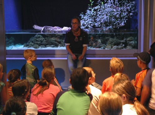 Il Presepe Spiaggiato