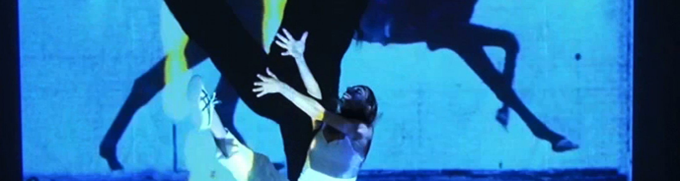 Il Festival "A passo d'uomo" fa tappa all' Acquario di Cattolica