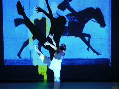 Il Festival "A passo d'uomo" fa tappa all' Acquario di Cattolica