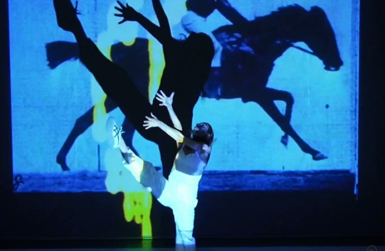 Il Festival "A passo d'uomo" fa tappa all' Acquario di Cattolica