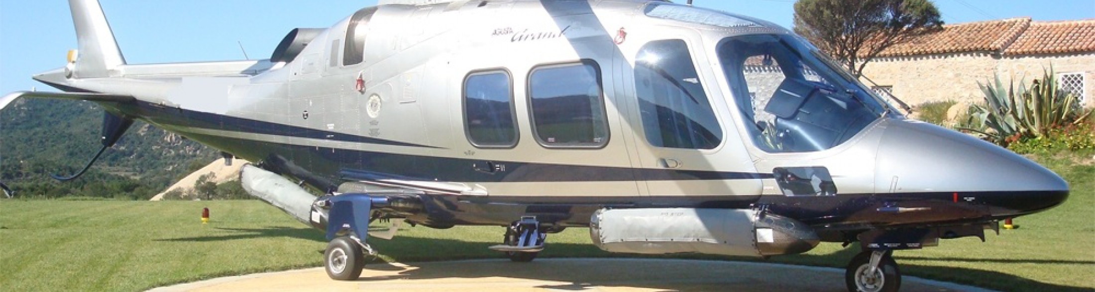 All' Acquario di Cattolica si vola!