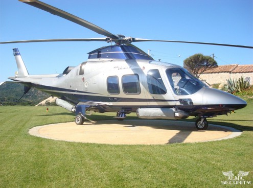 All' Acquario di Cattolica si vola!