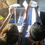 E adesso, Plastifiniamola