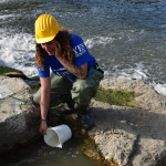 A Rimini la prima scala di Risalita per giovani Anguille sul Fiume Marecchia