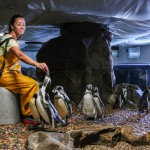 Acquario aperto a Ottobre e Novembre 