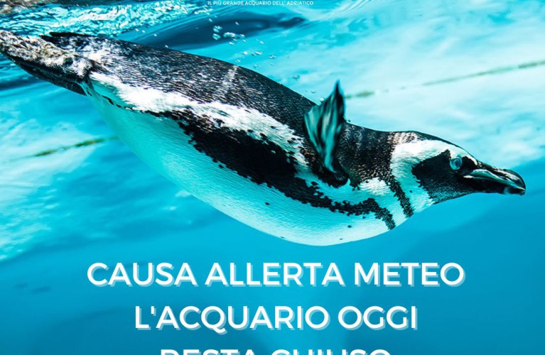 Acquario chiuso il 17 maggio