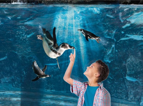 Dal 15 settembre aperto solo weekend