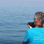 Delfini Metropolitani Adriatico - Parte la 3a stagione di ricerca