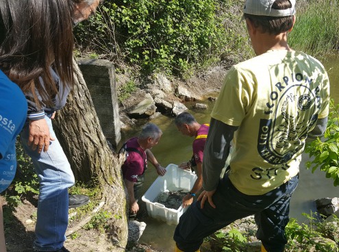 Gli Acquari CE si uniscono per la Biodiversità