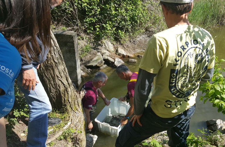 Gli Acquari CE si uniscono per la Biodiversità