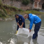Gli storioni dell'Acquario ripopolano Cesena e il Delta