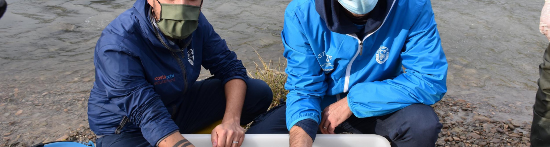 Gli storioni dell'Acquario ripopolano Cesena e il Delta