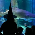 Halloween 2025: tutte le info!