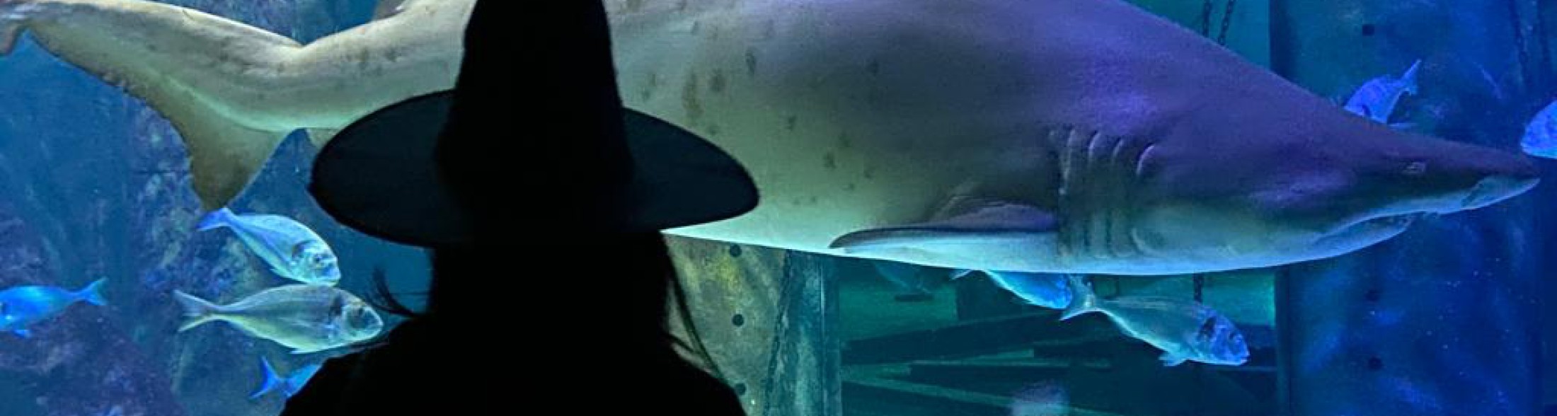 Happy Halloween dal 28/10 al 2/11