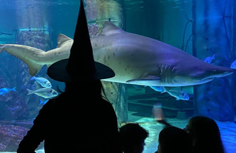 Happy Halloween dal 28/10 al 2/11