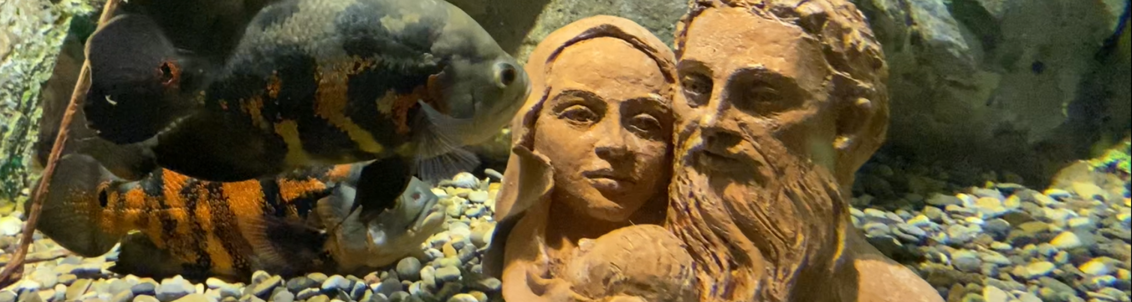 I Presepi sommersi in mostra fino al 7 gennaio