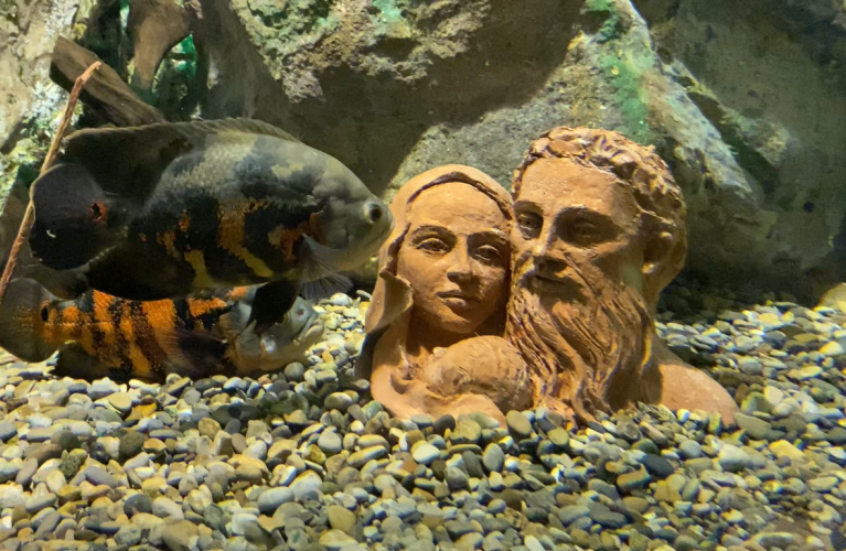 I Presepi sommersi in mostra fino al 7 gennaio