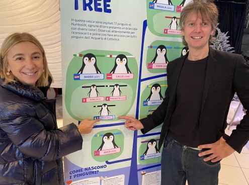 Il nome del pinguino è Bilù