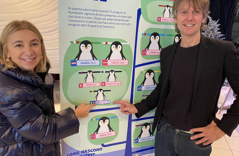 Il nome del pinguino è Bilù