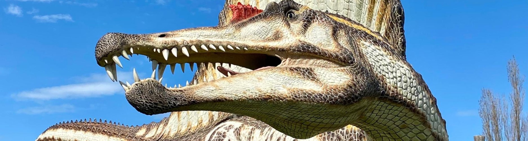 Il nuovo Spinosaurus