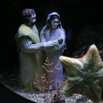 L'Acquario è aperto tutti i giorni fino al 6 gennaio