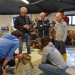 La riabilitazione di Cenere sta dando ottimi risultati