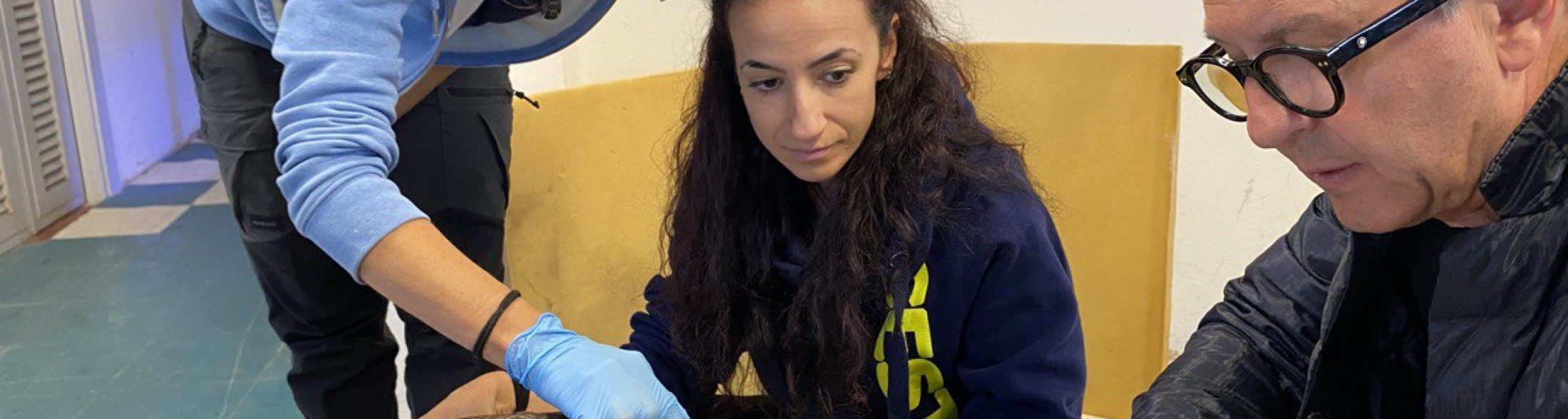 La riabilitazione di Cenere sta dando ottimi risultati