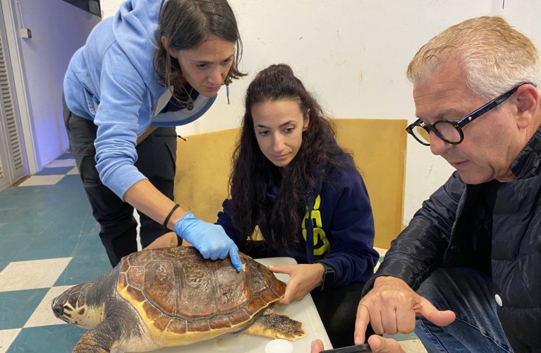 La riabilitazione di Cenere sta dando ottimi risultati
