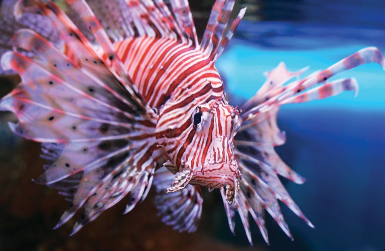 NotteRosa 2023: Sconto ai diciottenni venerdì 7 luglio