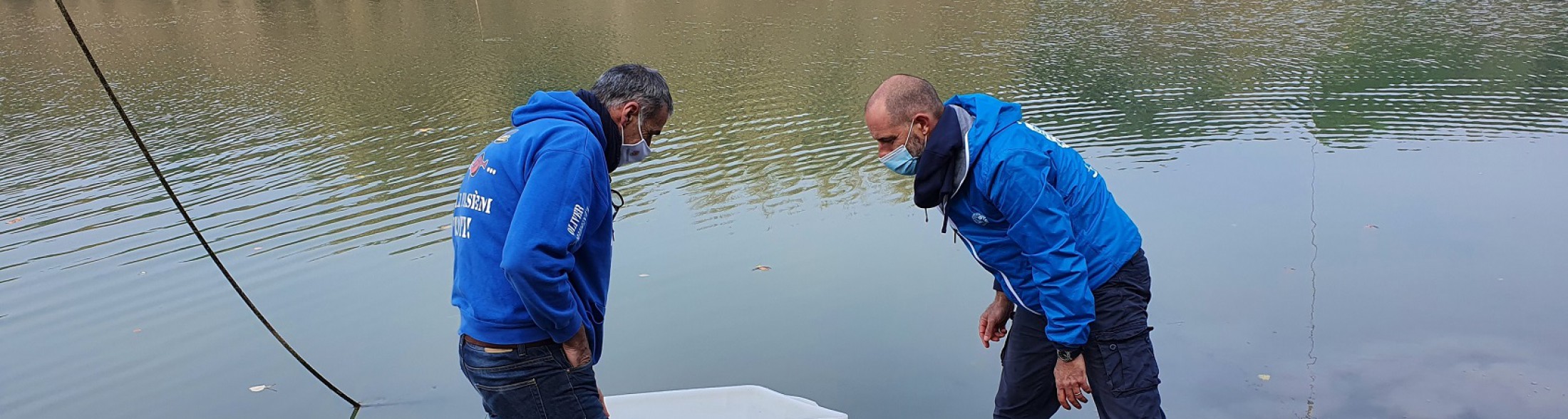 Nuova liberazione di storioni e anguille nel Delta del Po a Ravenna 