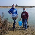 Nuova liberazione di storioni e anguille nel Delta del Po a Ravenna 