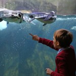 Parchi aperti fino all'Epifania