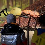 Pasqua e Pasquetta ai Parchi Costa