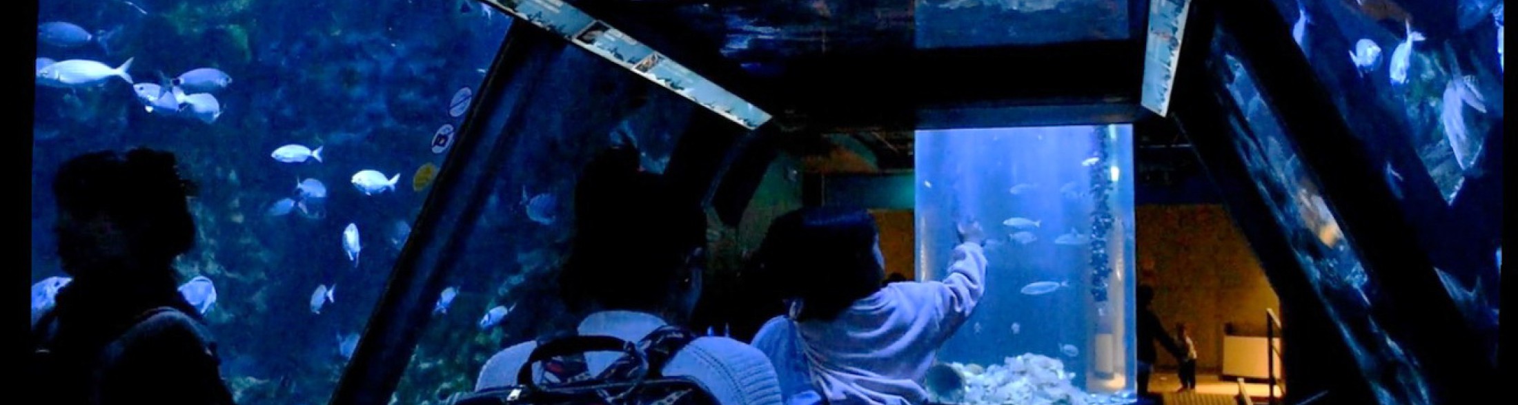 Pasqua e Pasquetta ai Parchi Costa