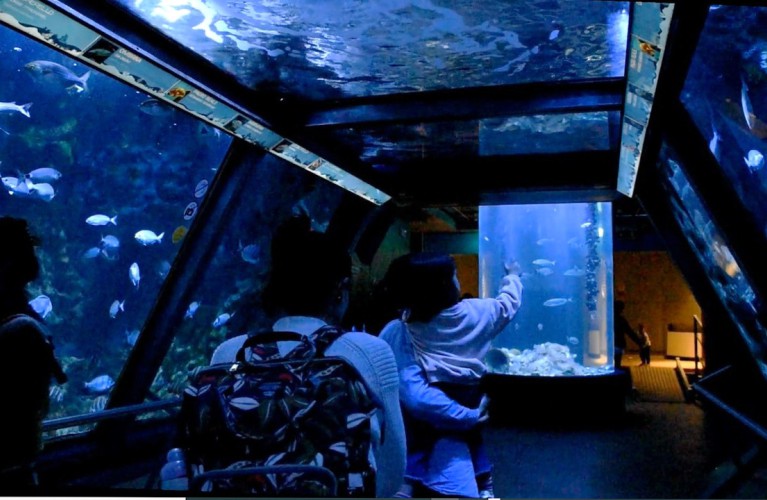 Pasqua e Pasquetta ai Parchi Costa