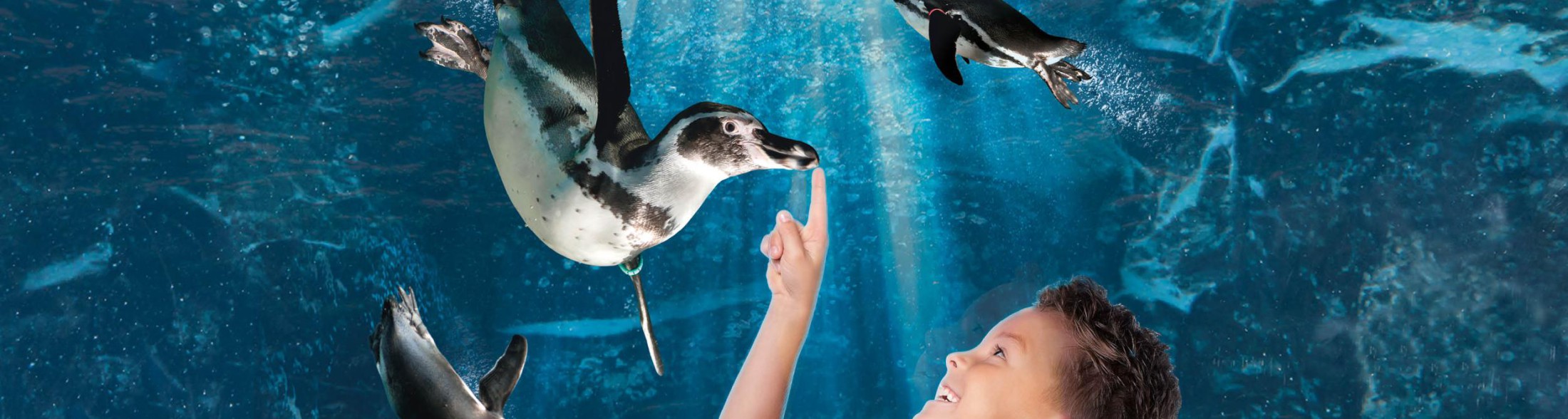 Pasqua e Pasquetta nei parchi Costa Edutainment