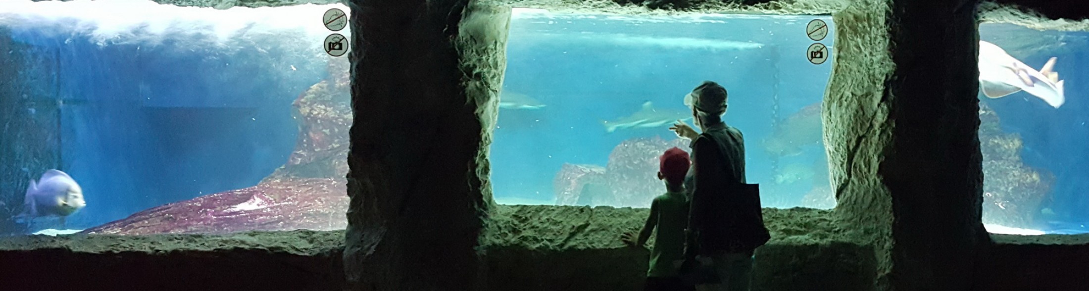 Tutti gli eventi di luglio nei parchi Costa Edutainment