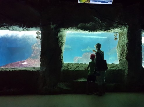 Tutti gli eventi di luglio nei parchi Costa Edutainment