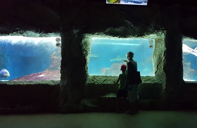 Tutti gli eventi di luglio nei parchi Costa Edutainment