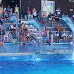 Tutti i parchi Costa tornano aperti dal 15 giugno 