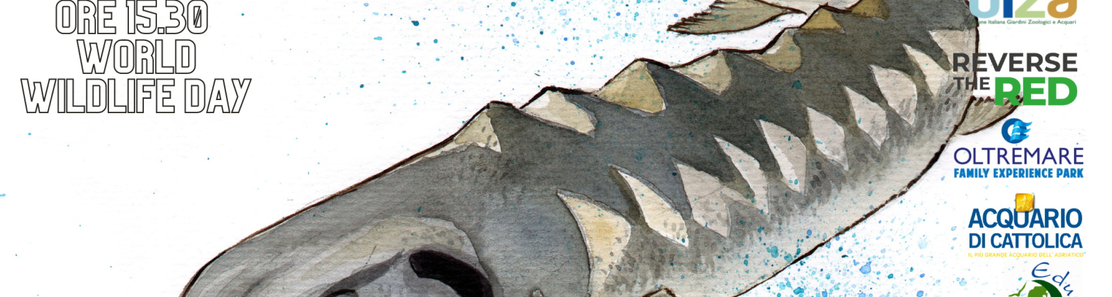 WWDay 2023: oltre 4000 animali salvati da zoo e acquari