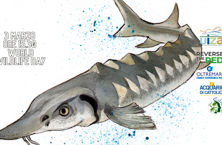 WWDay 2023: oltre 4000 animali salvati da zoo e acquari