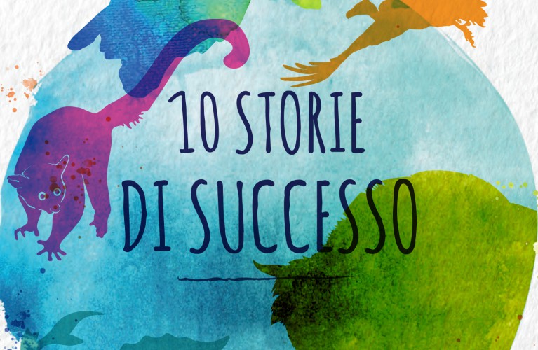 10 storie di successo