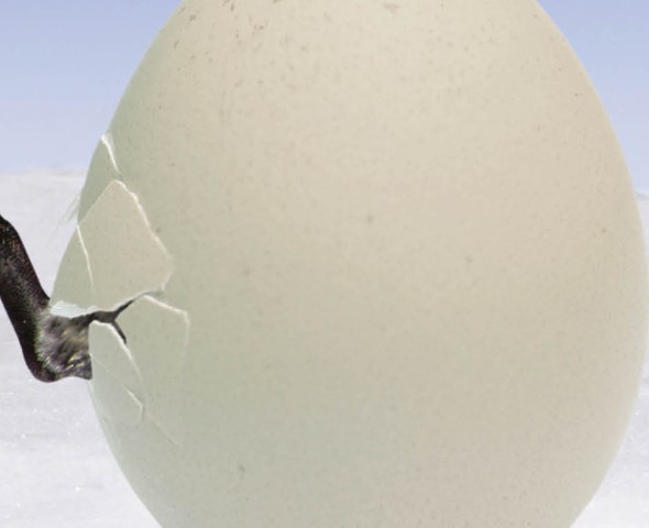 Sulle orme dei Pinguini Imperatore