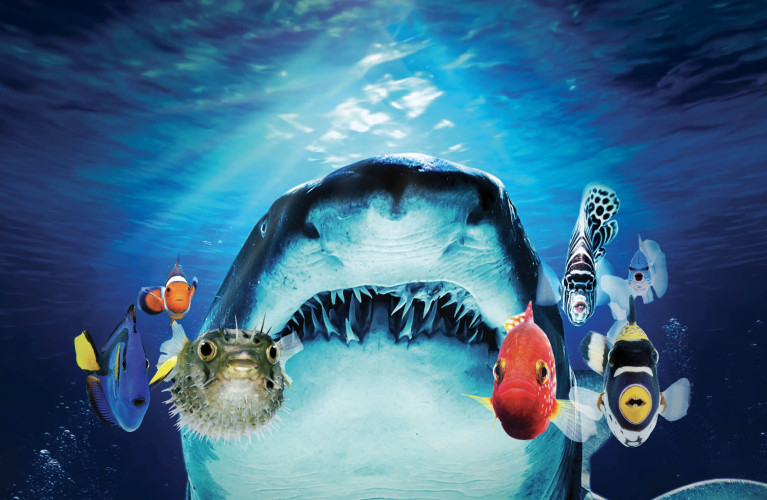 Acquario di sera 
